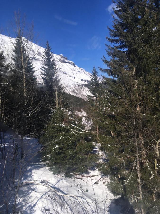 Appartamento Les Pierres Blanches Mont Blanc Les Contamines-Montjoie Esterno foto