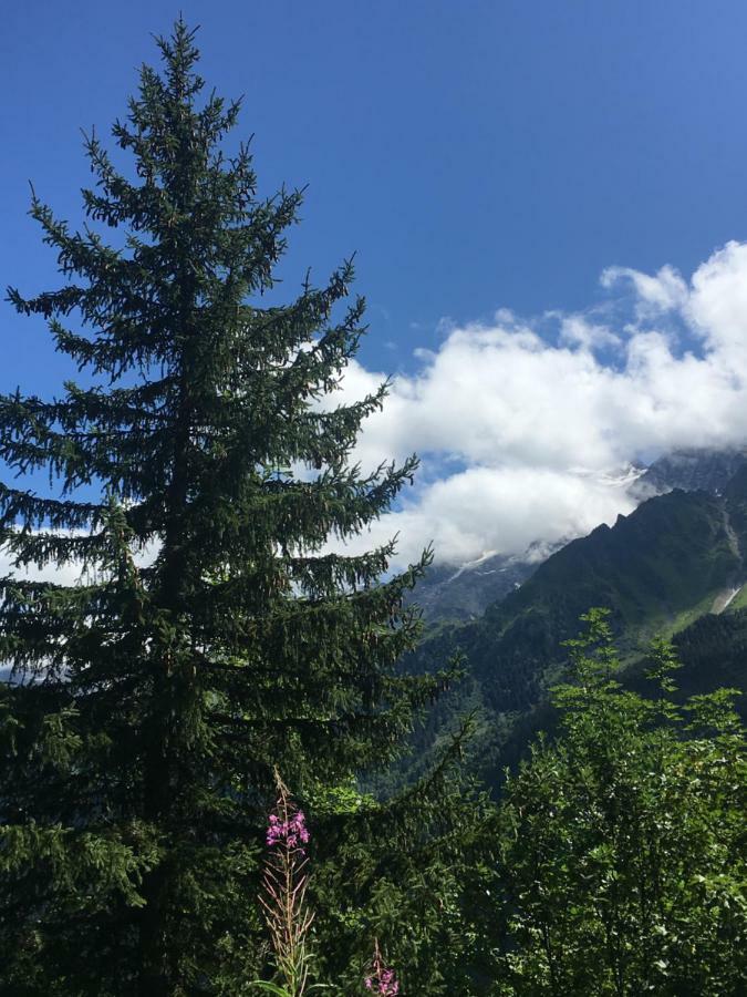 Appartamento Les Pierres Blanches Mont Blanc Les Contamines-Montjoie Esterno foto